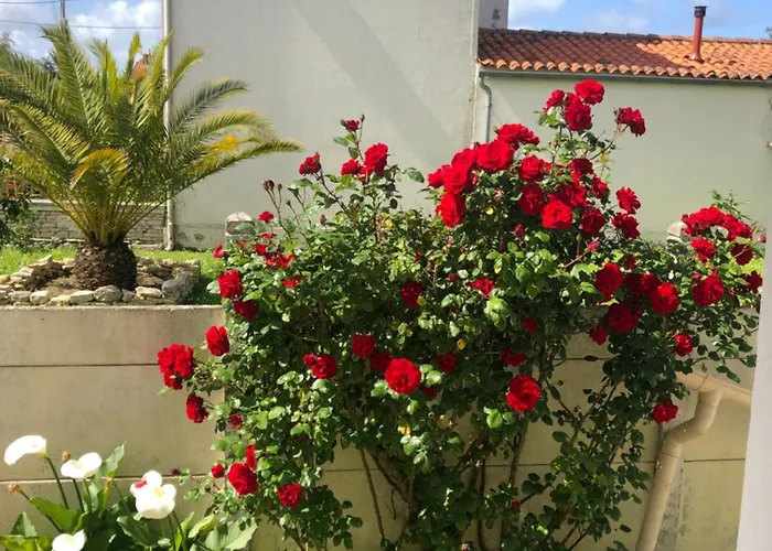 La Sirene Habitación en casa particular